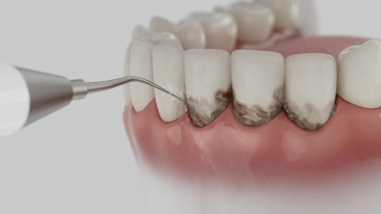 Reliable Dental contractor in Naval Academy, MD by Dentist Open Now